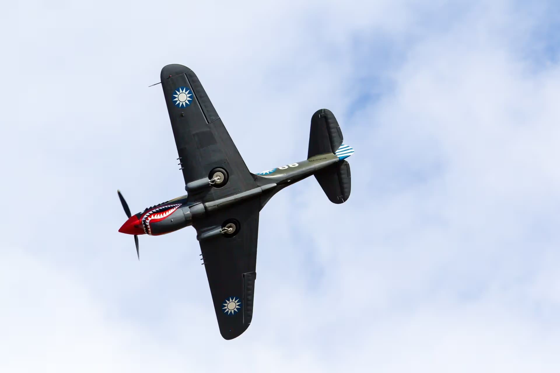 Unidentified — Warbird