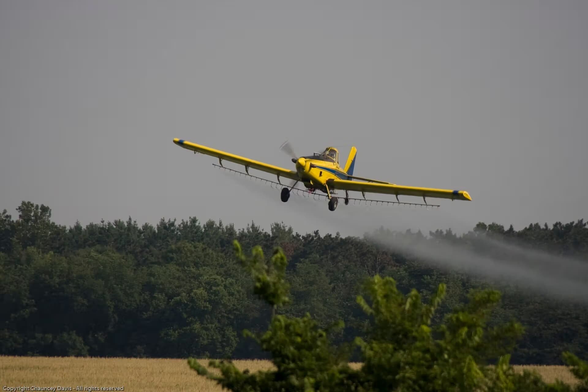 N1531G — Single-engine aircraft