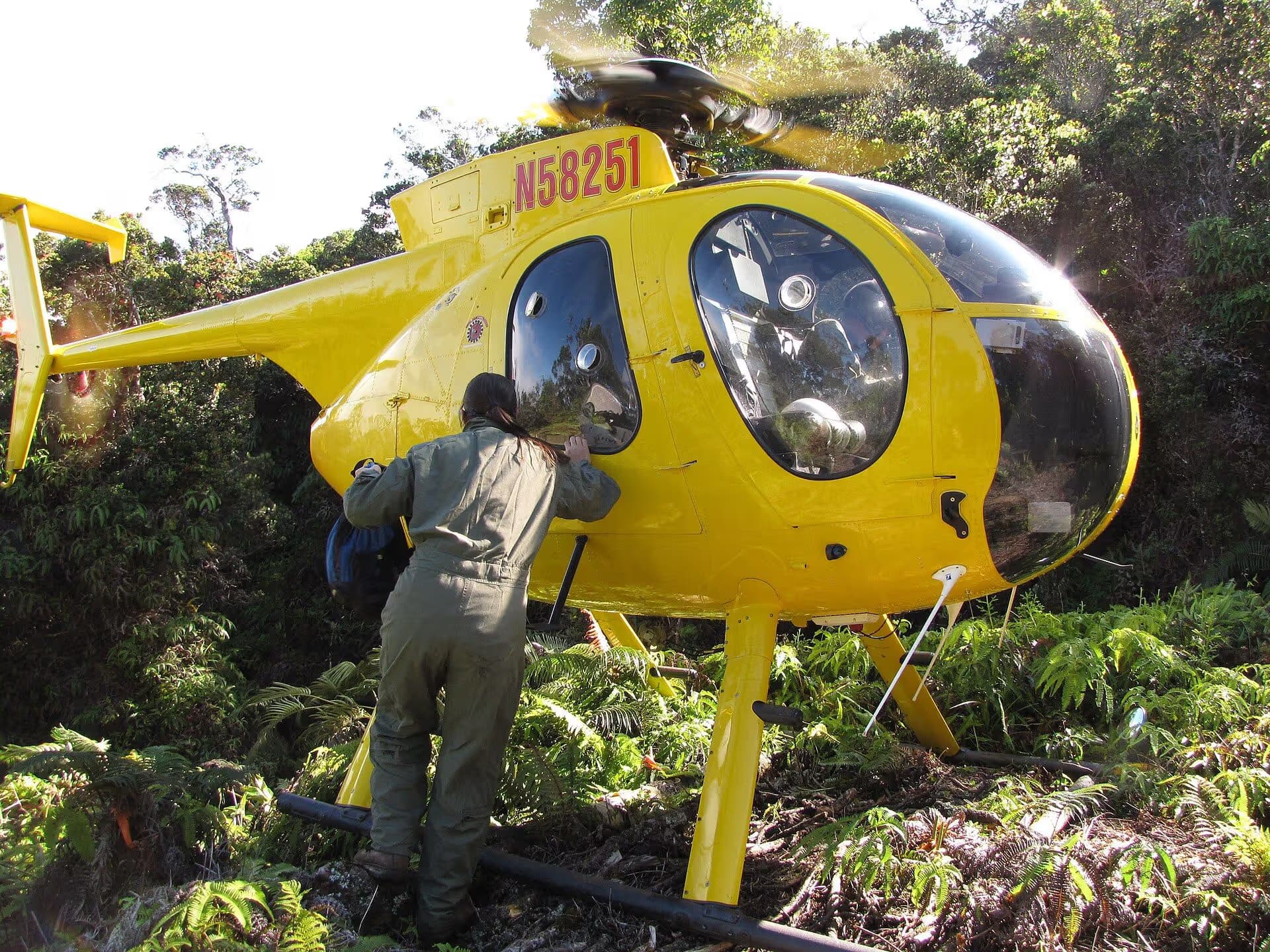 N58251 — Helicopter
