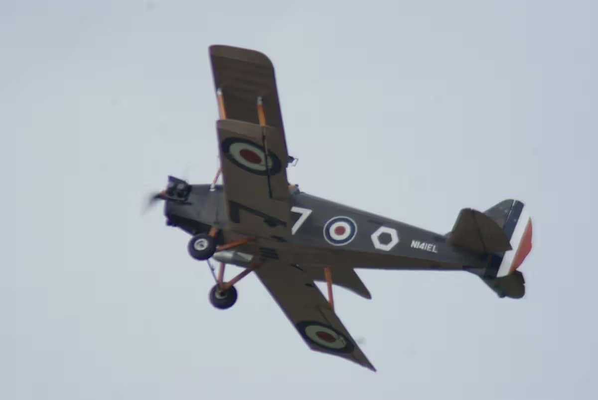N141EL — Single-engine aircraft