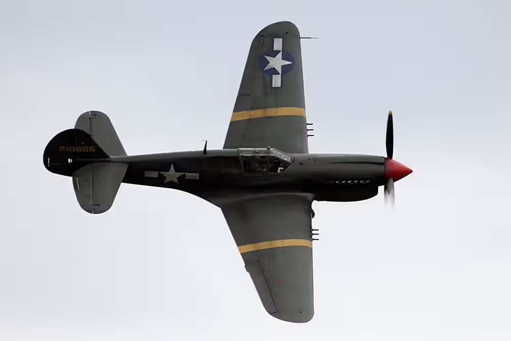 Unidentified — Warbird