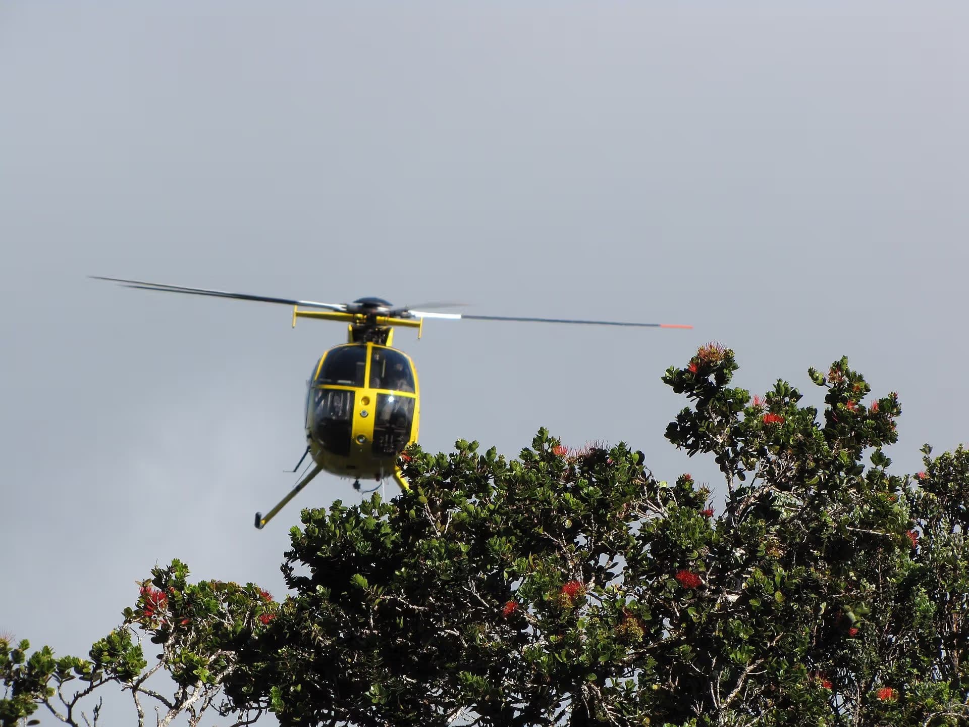 N58251 — Helicopter