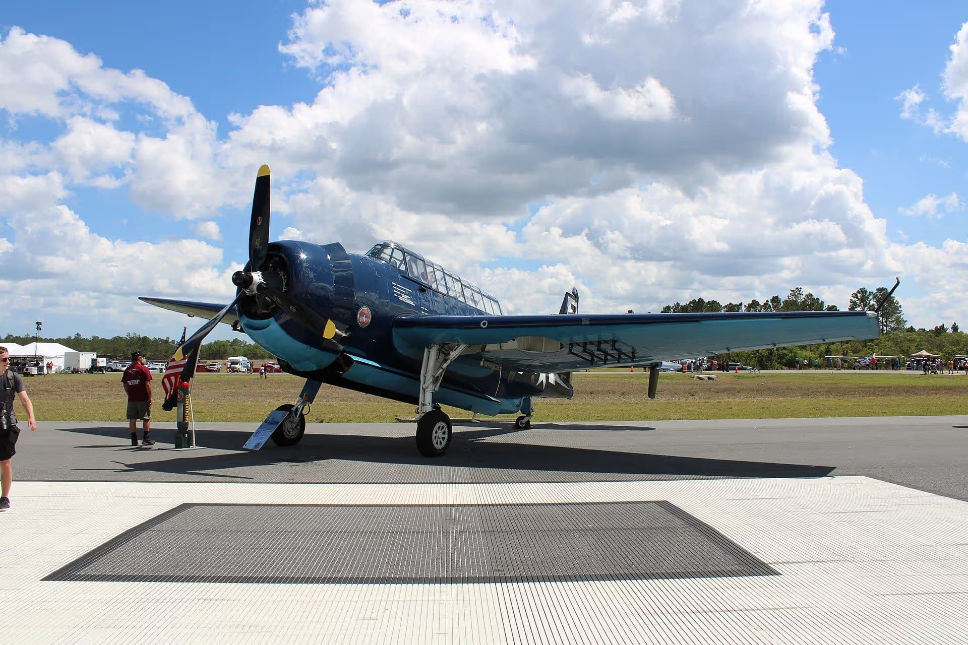 N85650 — Warbird