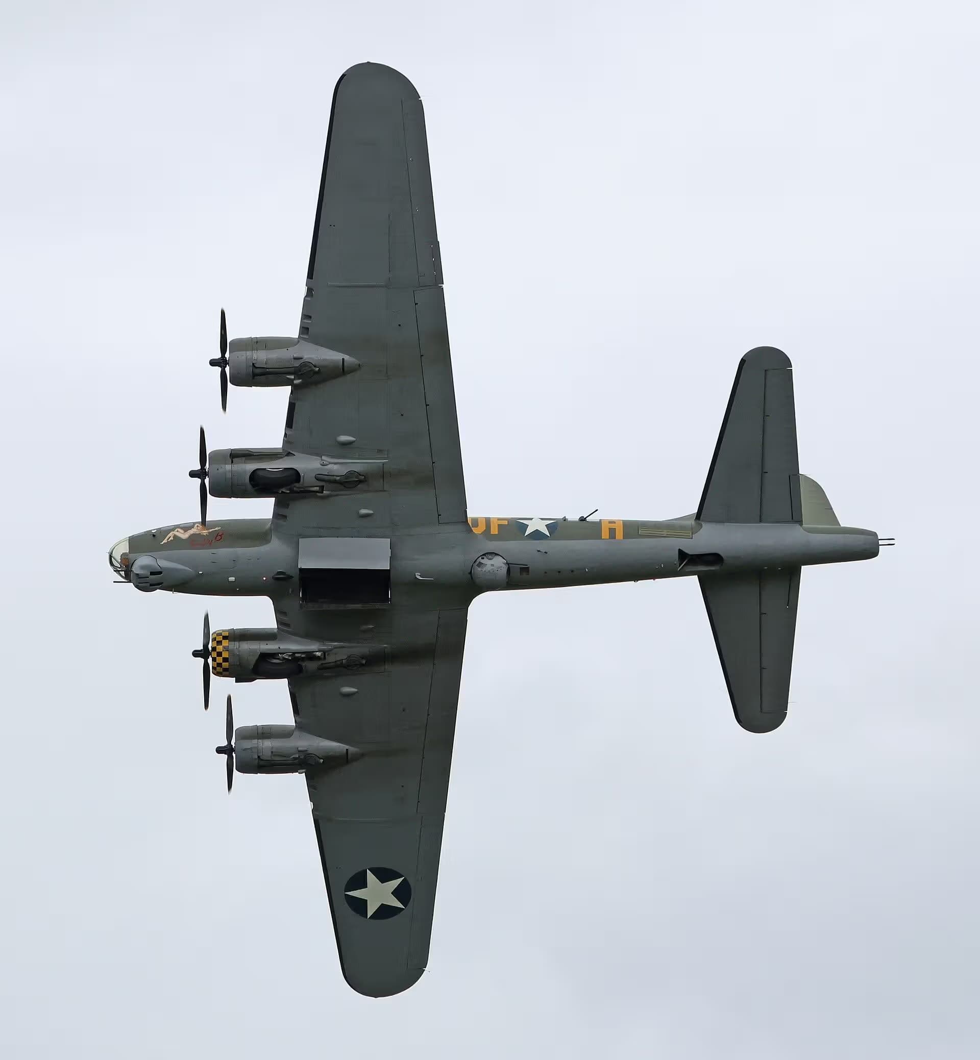 Unidentified — Warbird