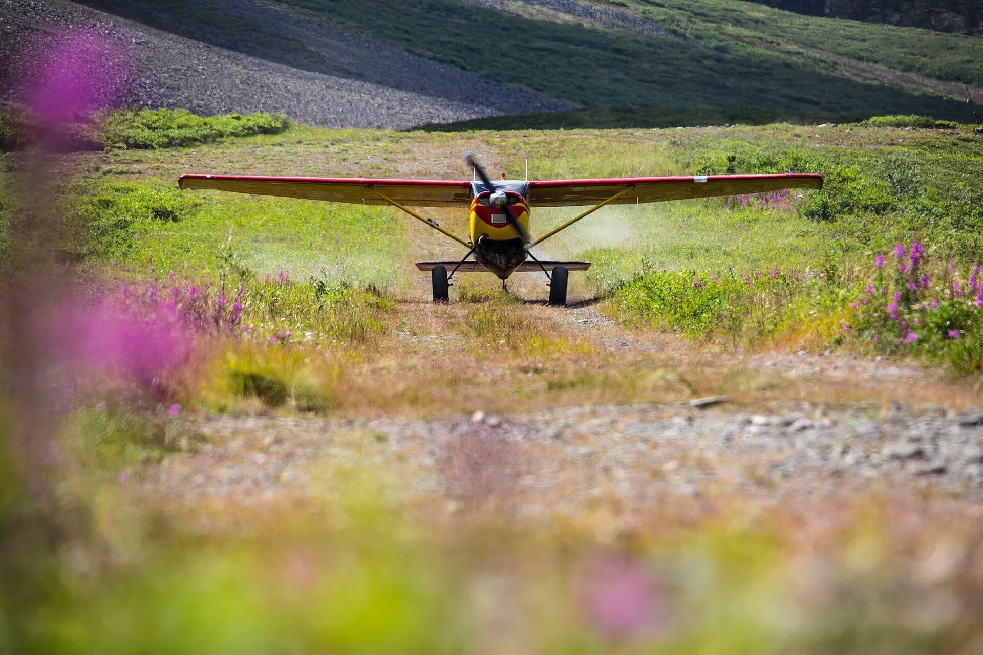 N8209U — Single-engine aircraft