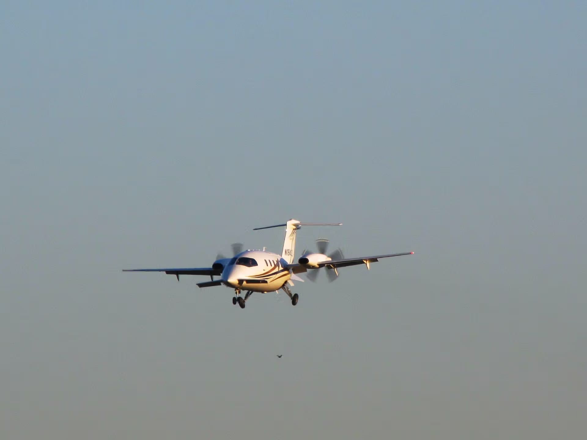 N184SL — Aircraft