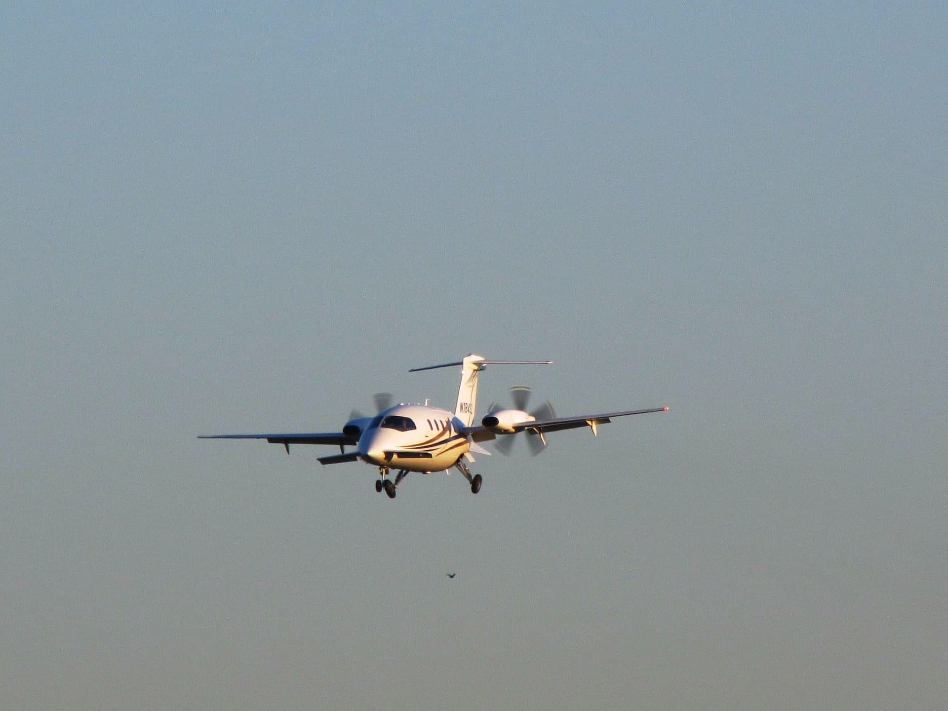N184SL — Aircraft
