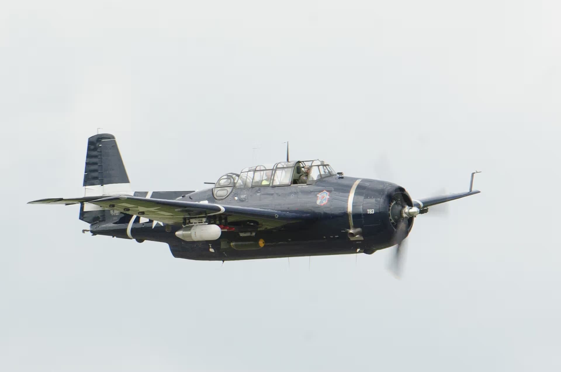 N81865 — Warbird