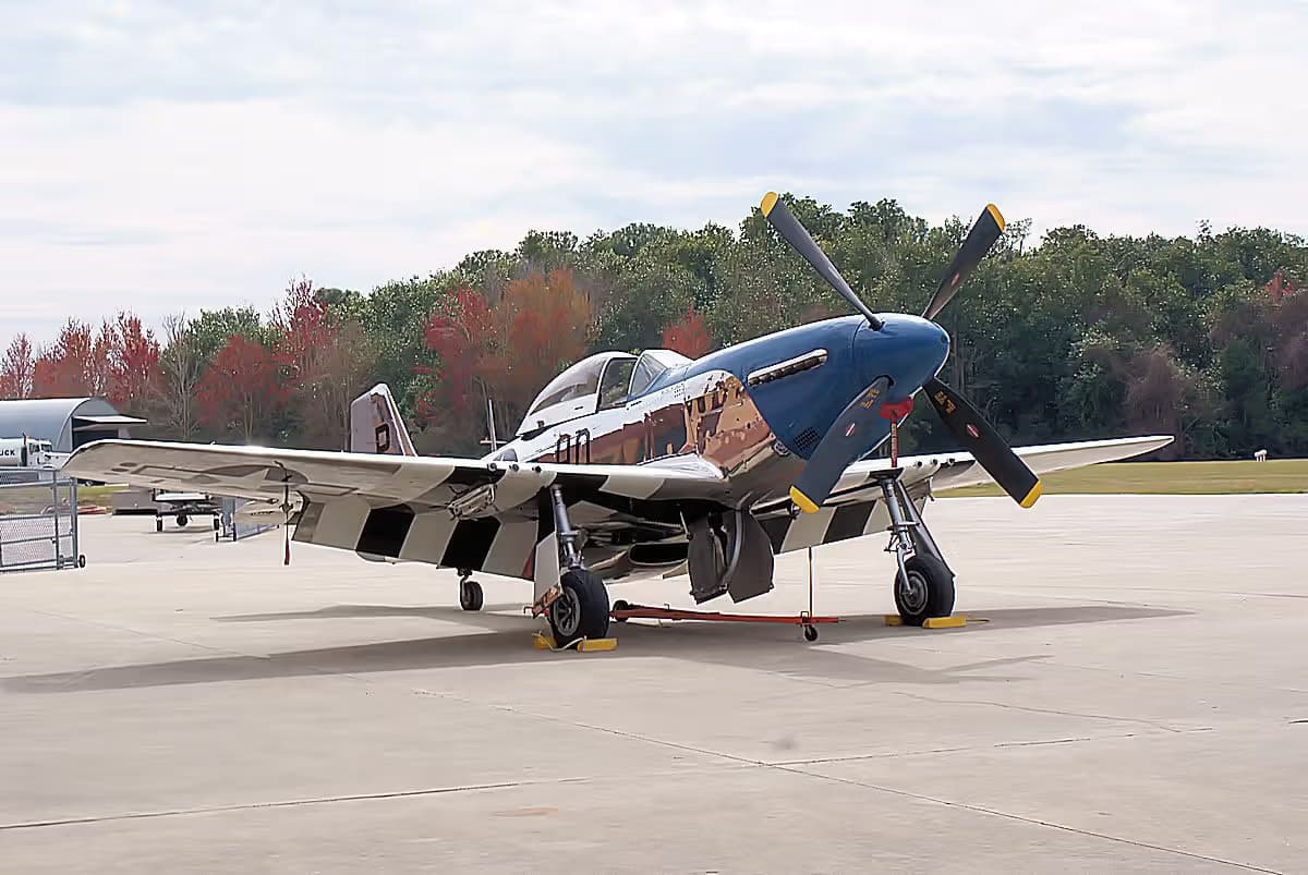 Unidentified — Warbird
