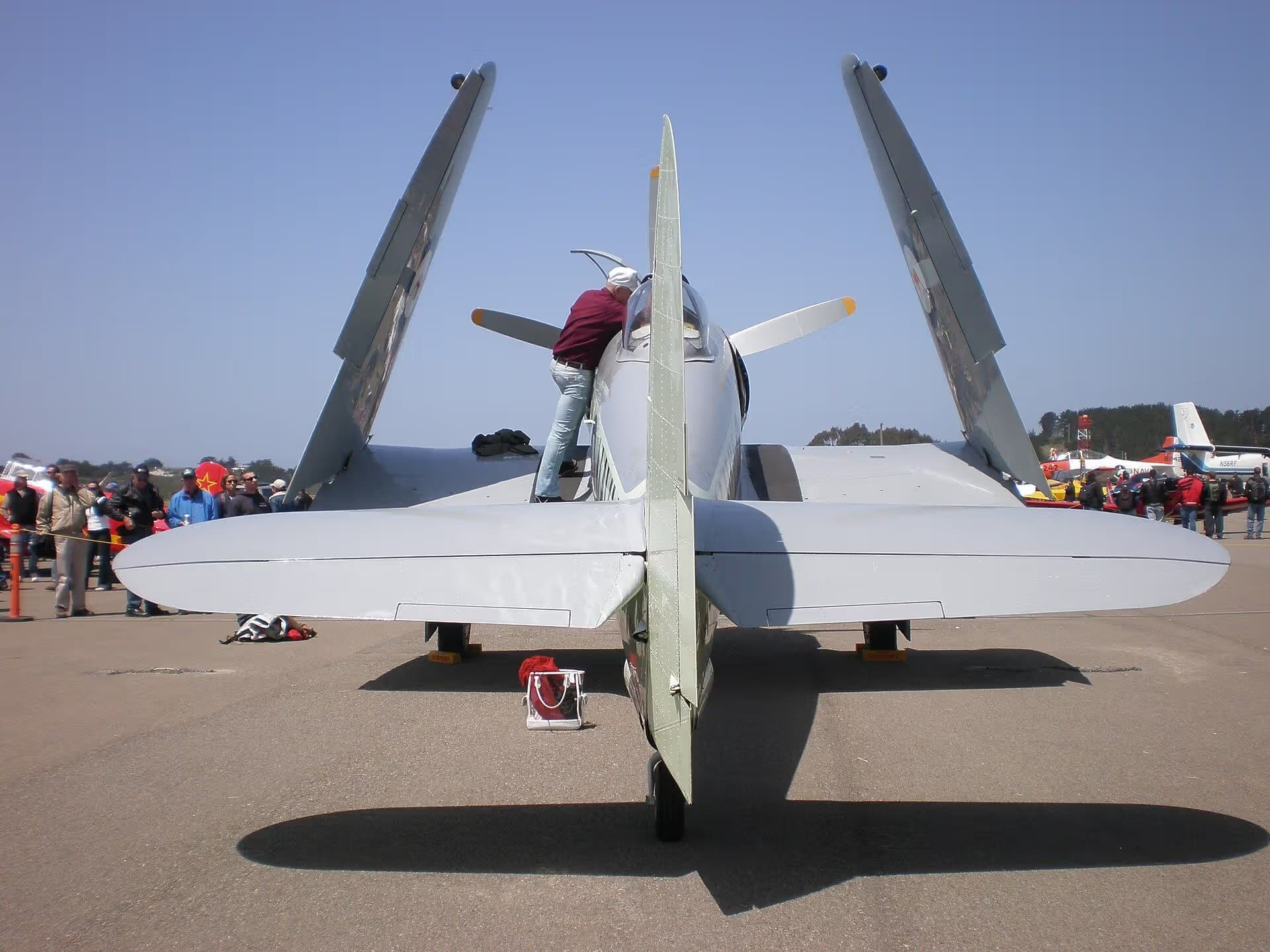 Unidentified — Warbird