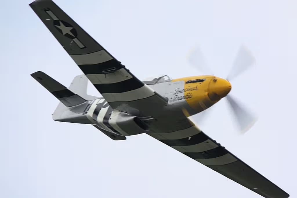 Unidentified — Warbird