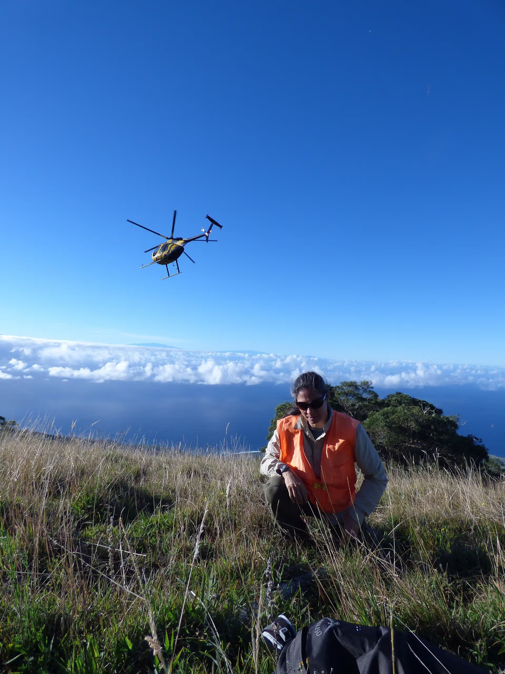 N58251 — Helicopter