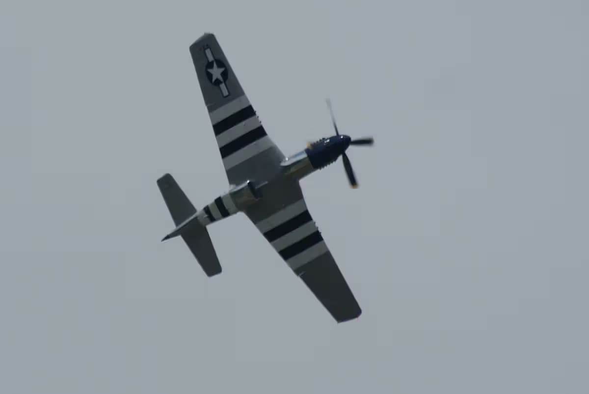 Unidentified — Warbird