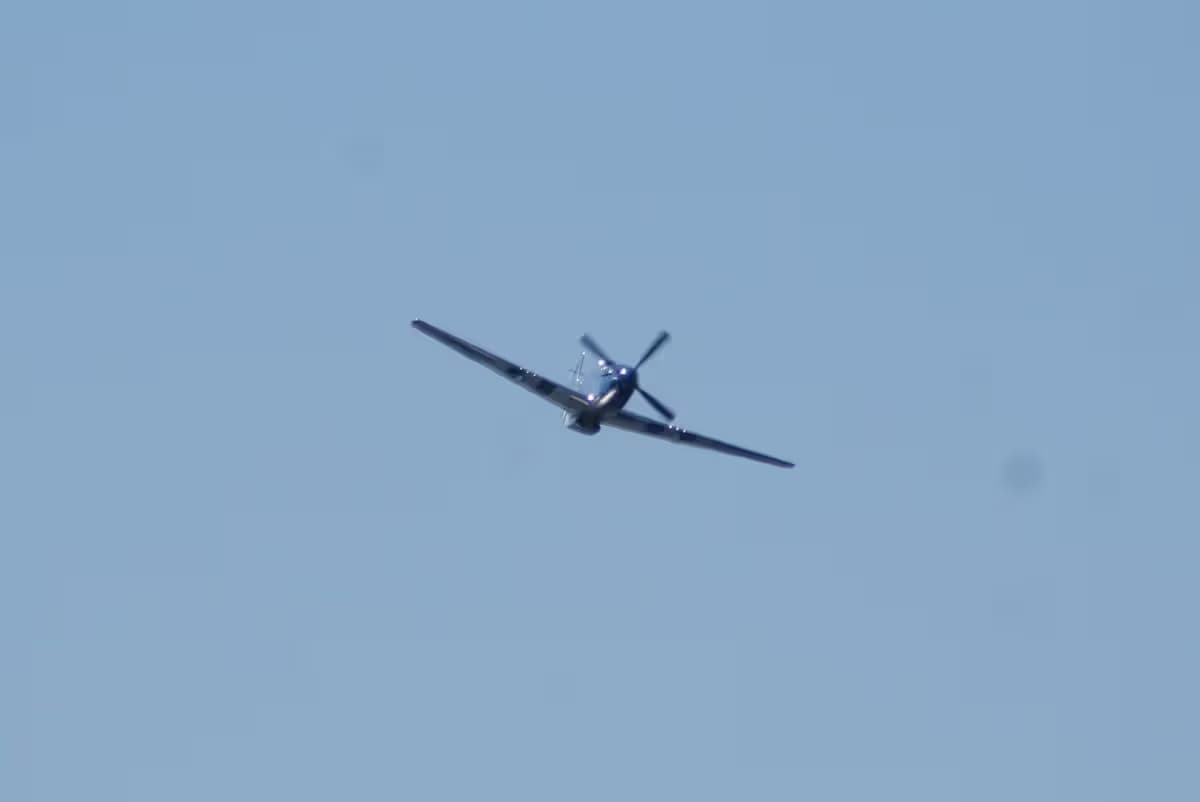 Unidentified — Warbird