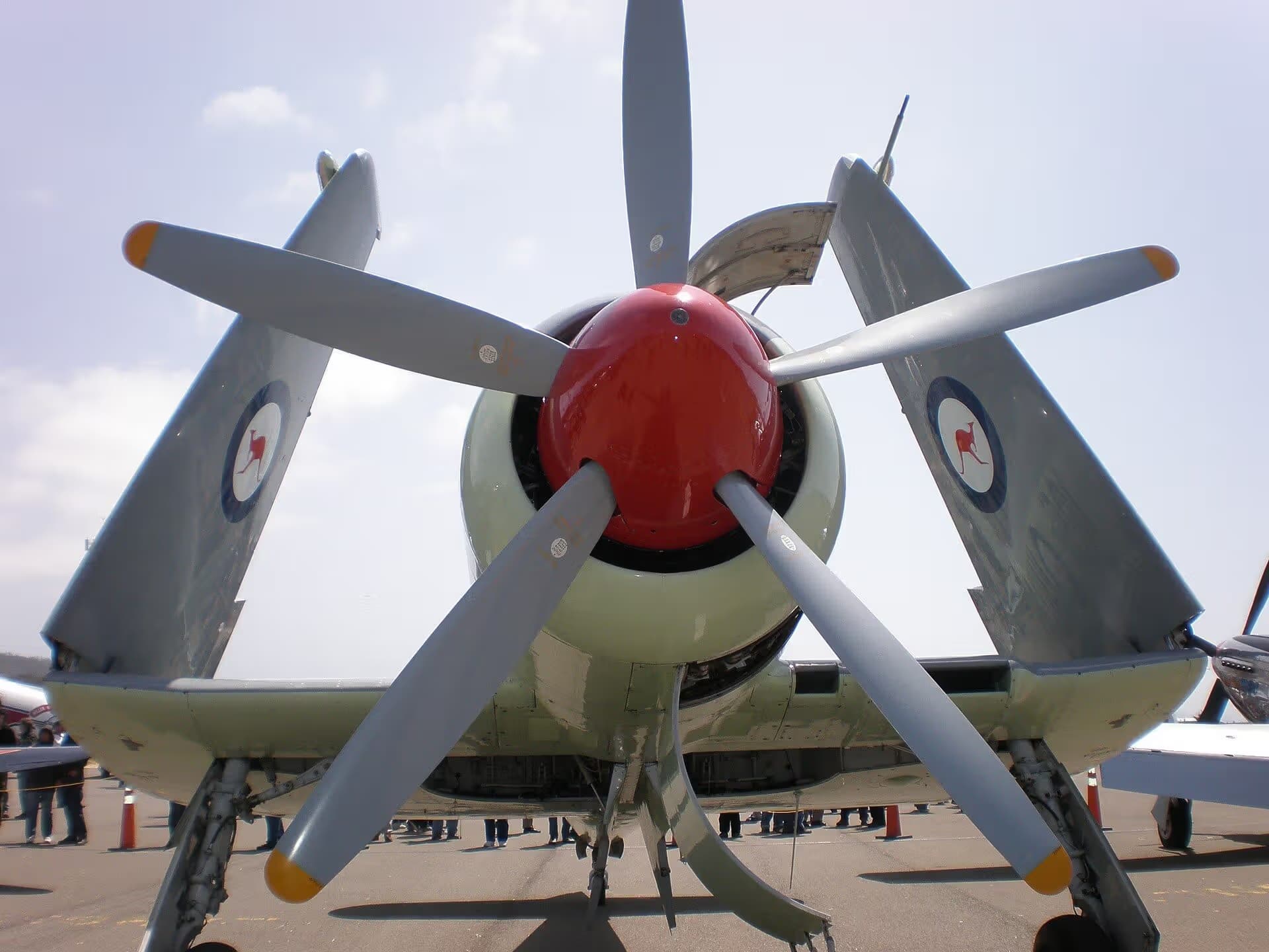 Unidentified — Warbird