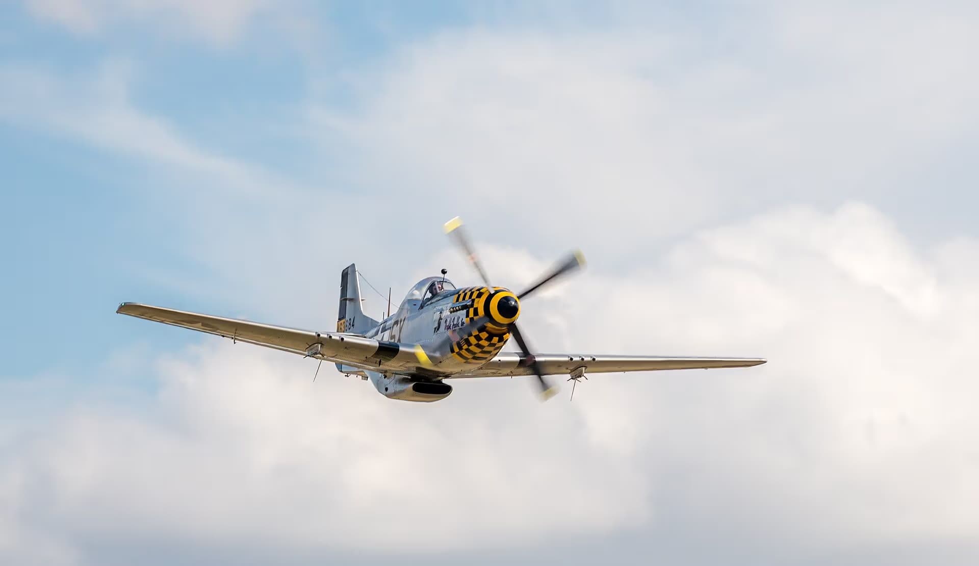Unidentified — Warbird