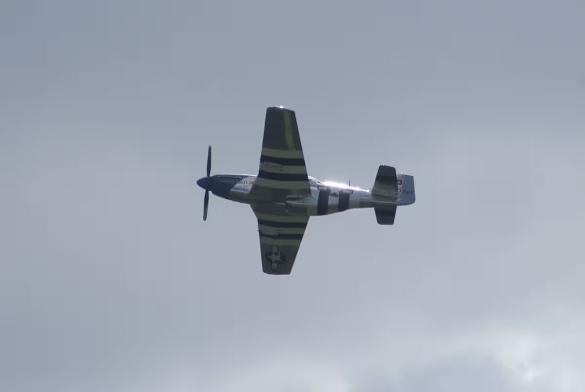 Unidentified — Warbird