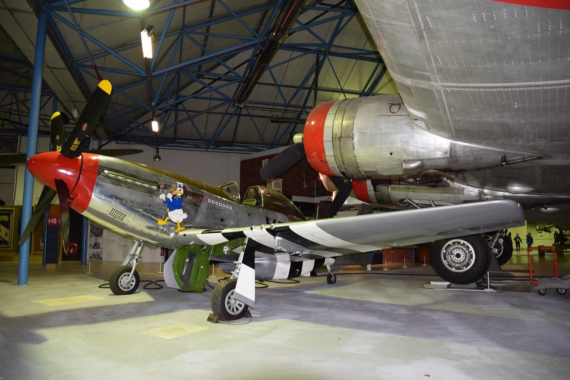 Unidentified — Warbird