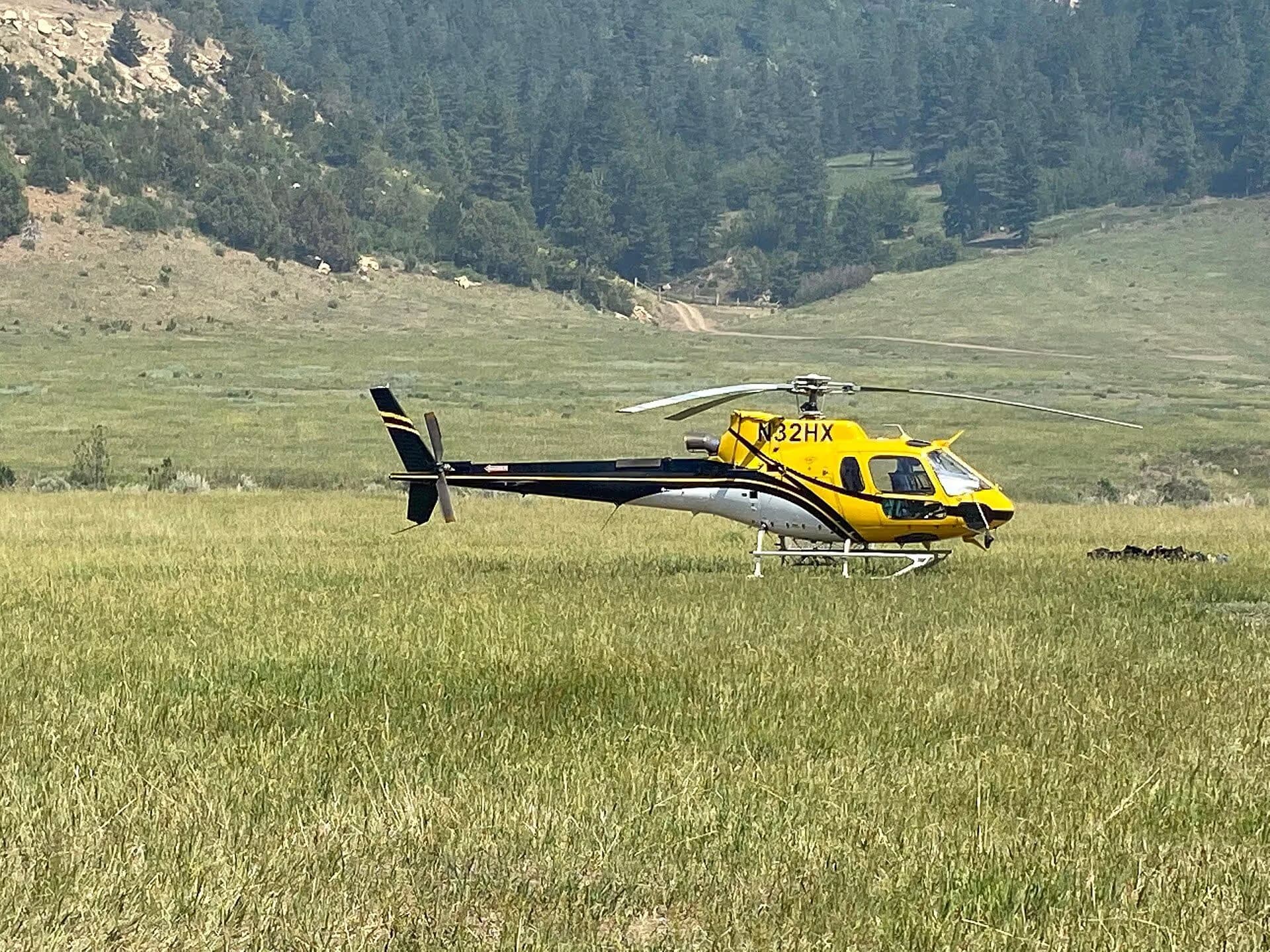 N32HX — Airbus