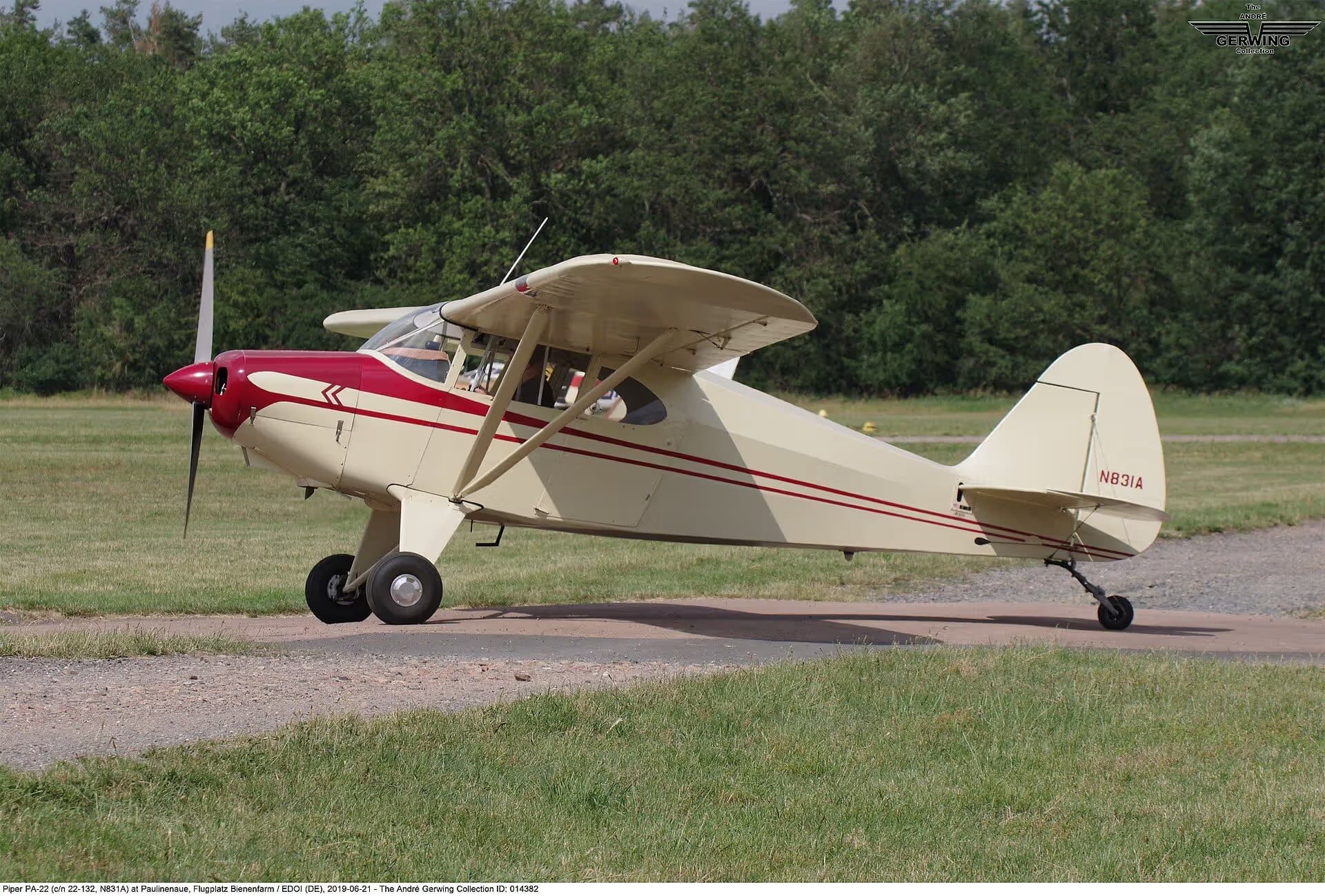 N831A — Piper
