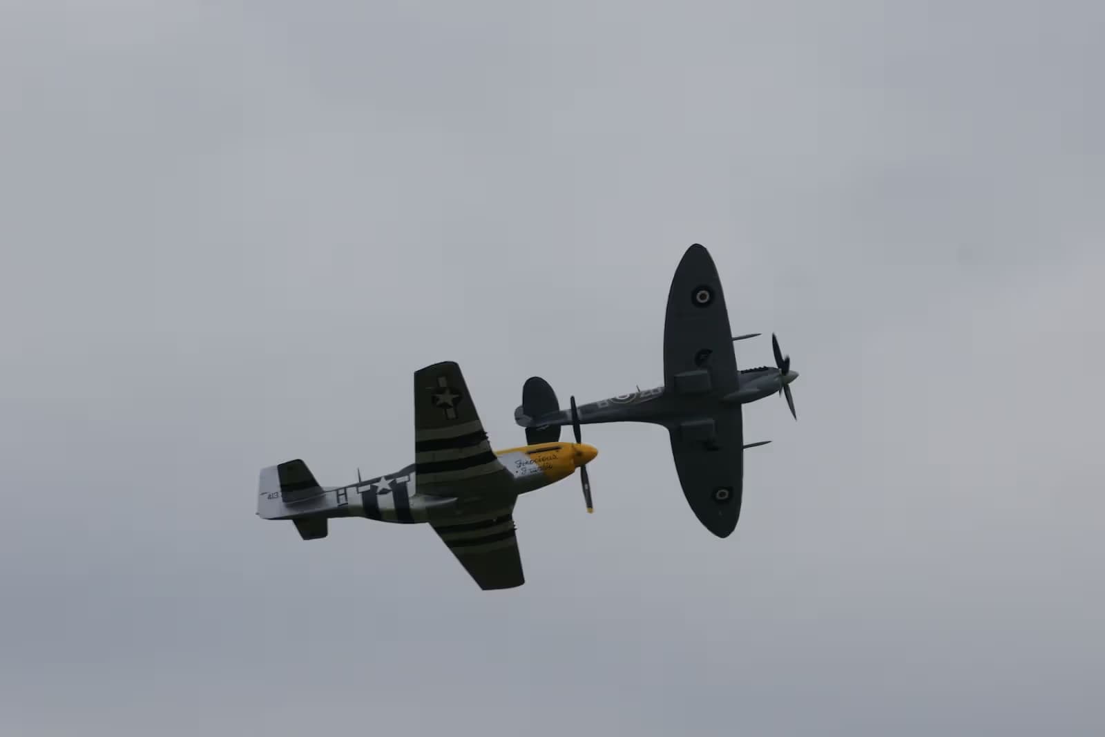 Unidentified — Warbird