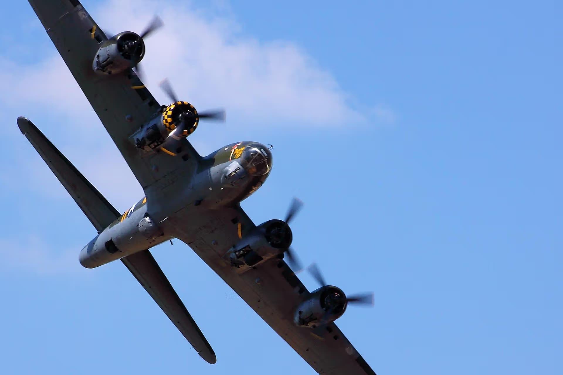 Unidentified — Warbird