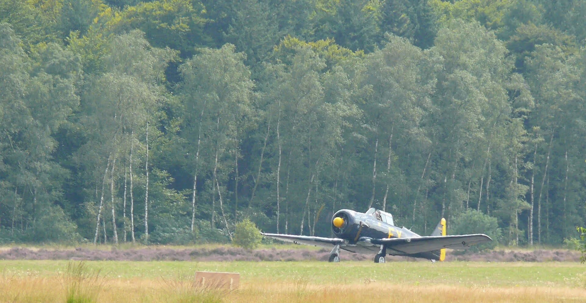 N13FY — Warbird