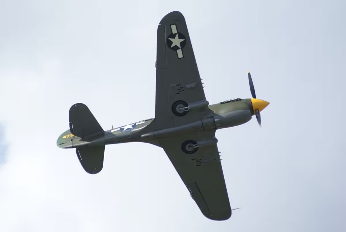 Unidentified — Warbird