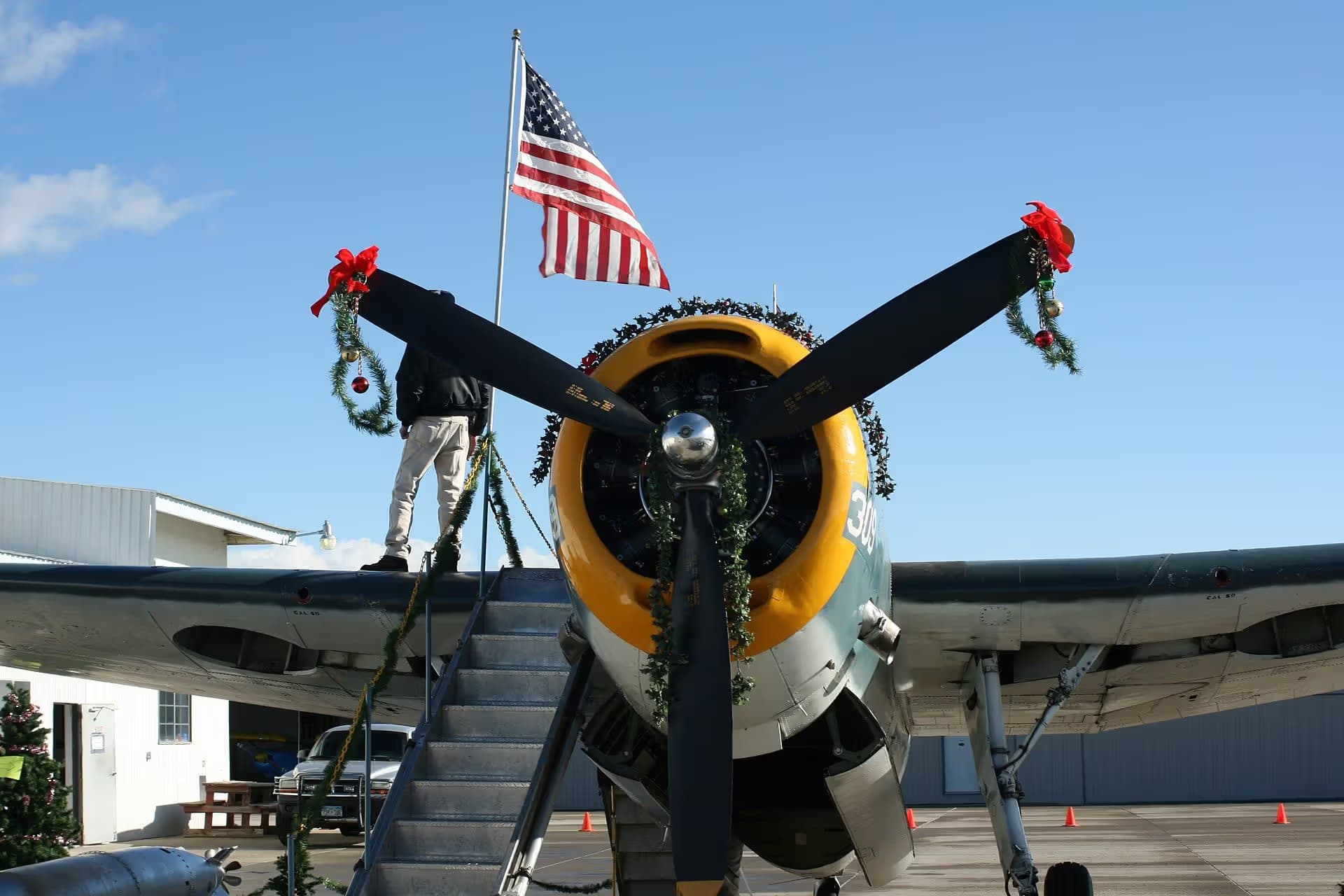 N53503 — Warbird