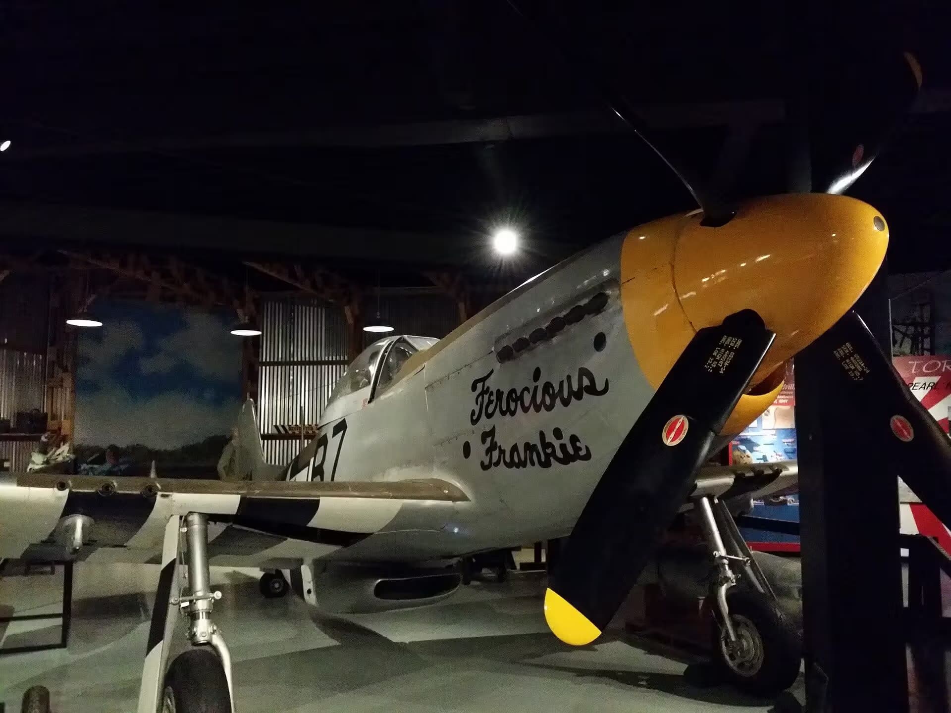 Unidentified — Warbird