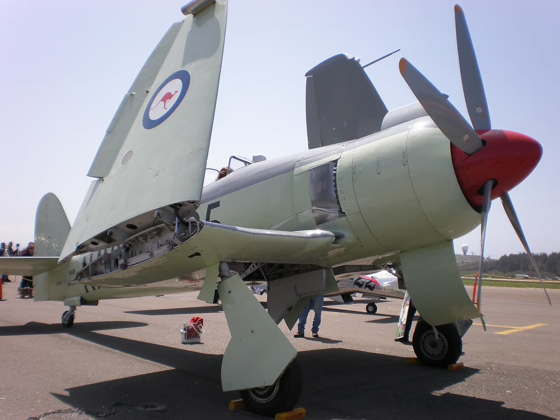 Unidentified — Warbird