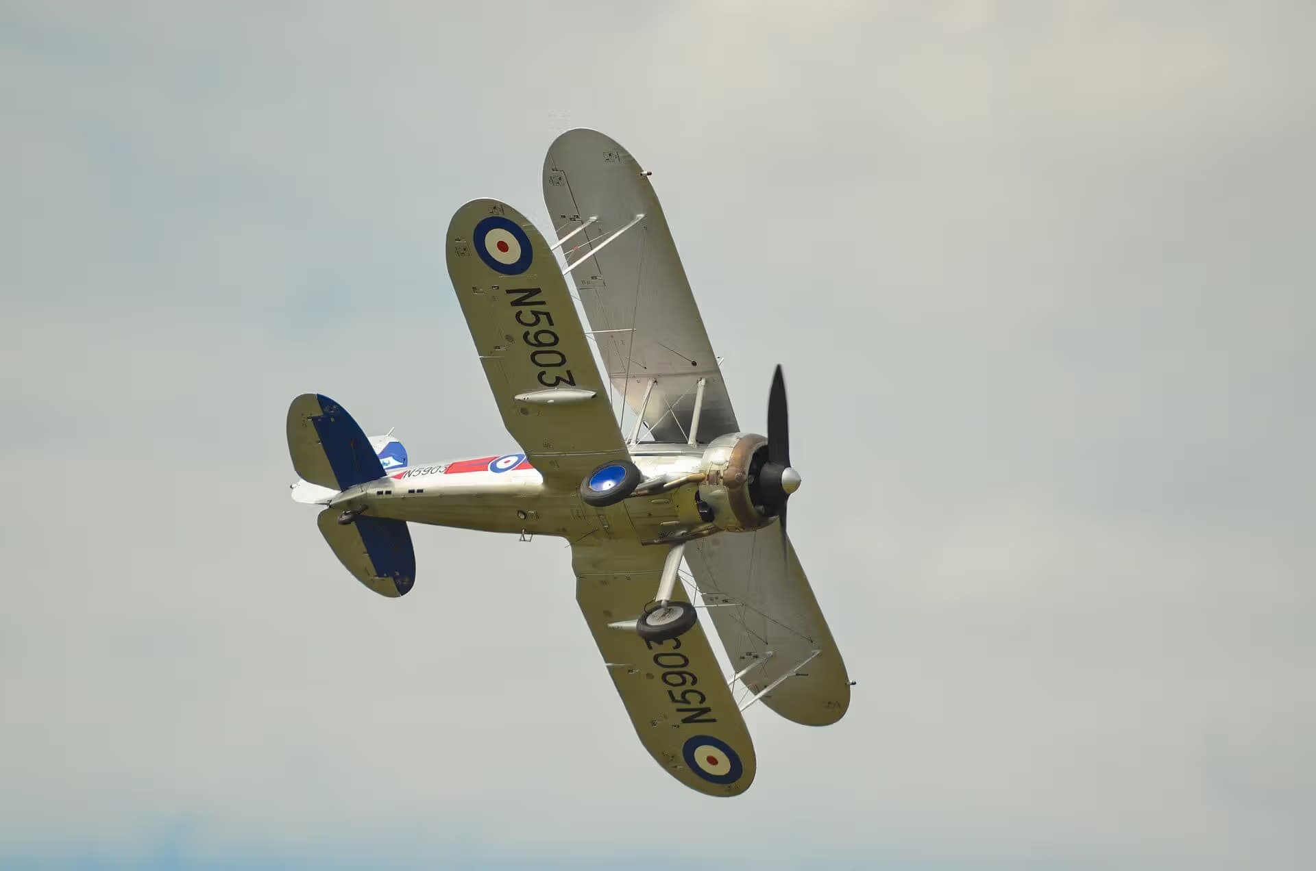 N5903 — Single-engine aircraft