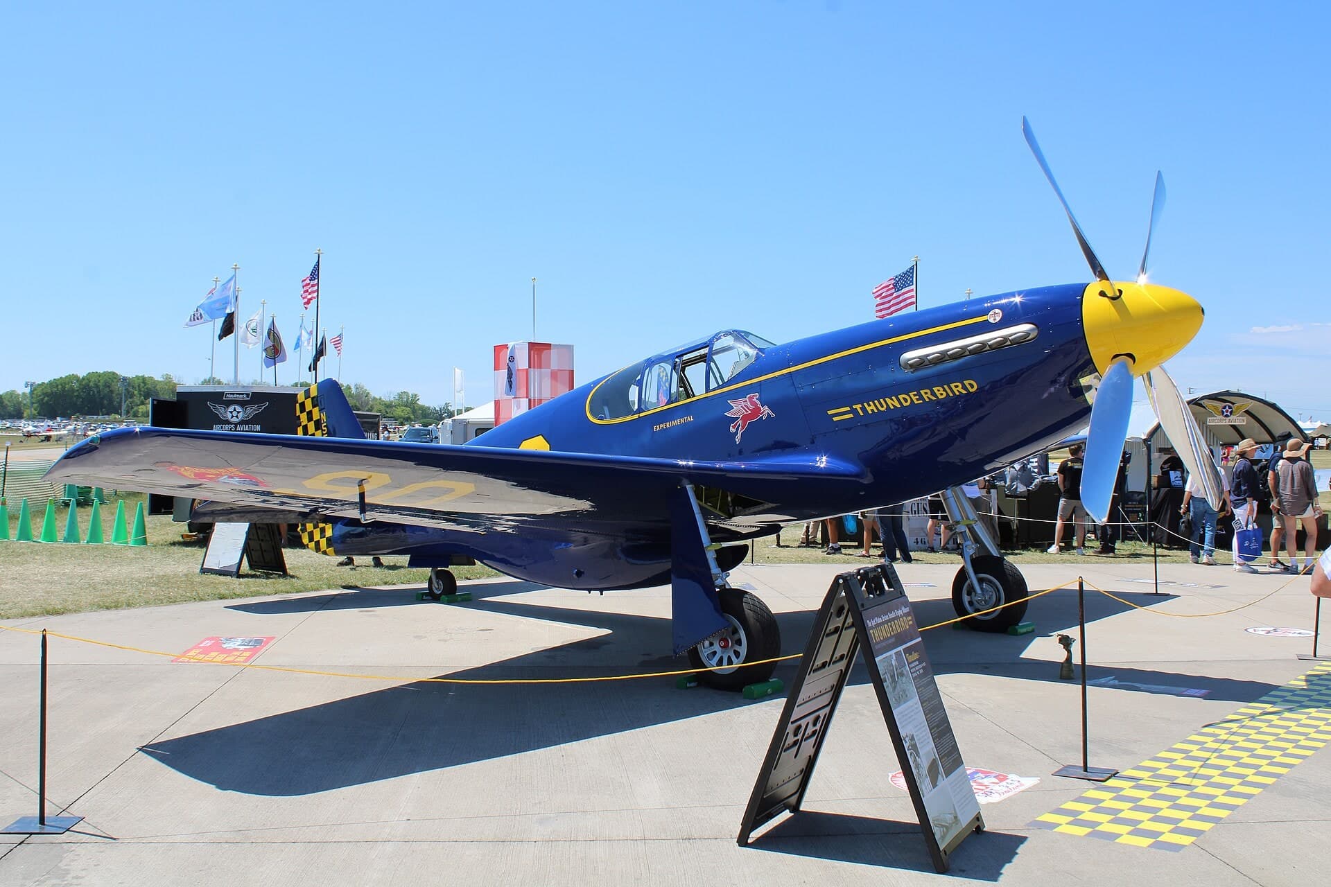 N5528N — Warbird