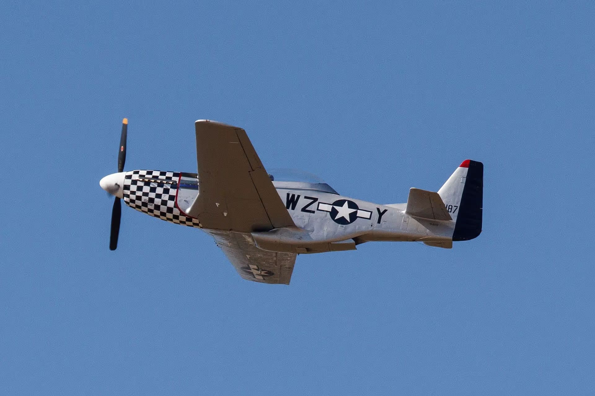 Unidentified — Warbird