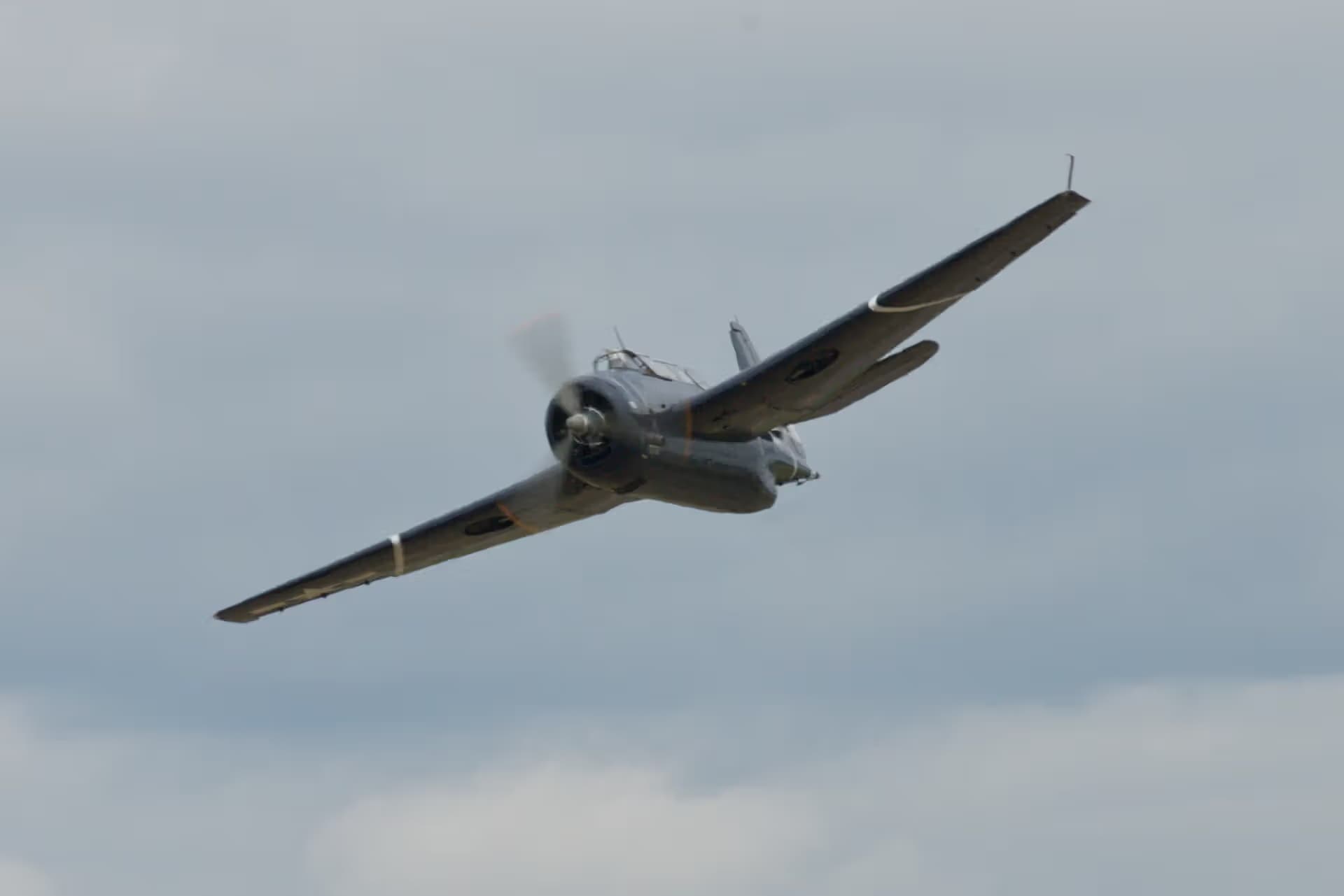 N81865 — Single-engine aircraft