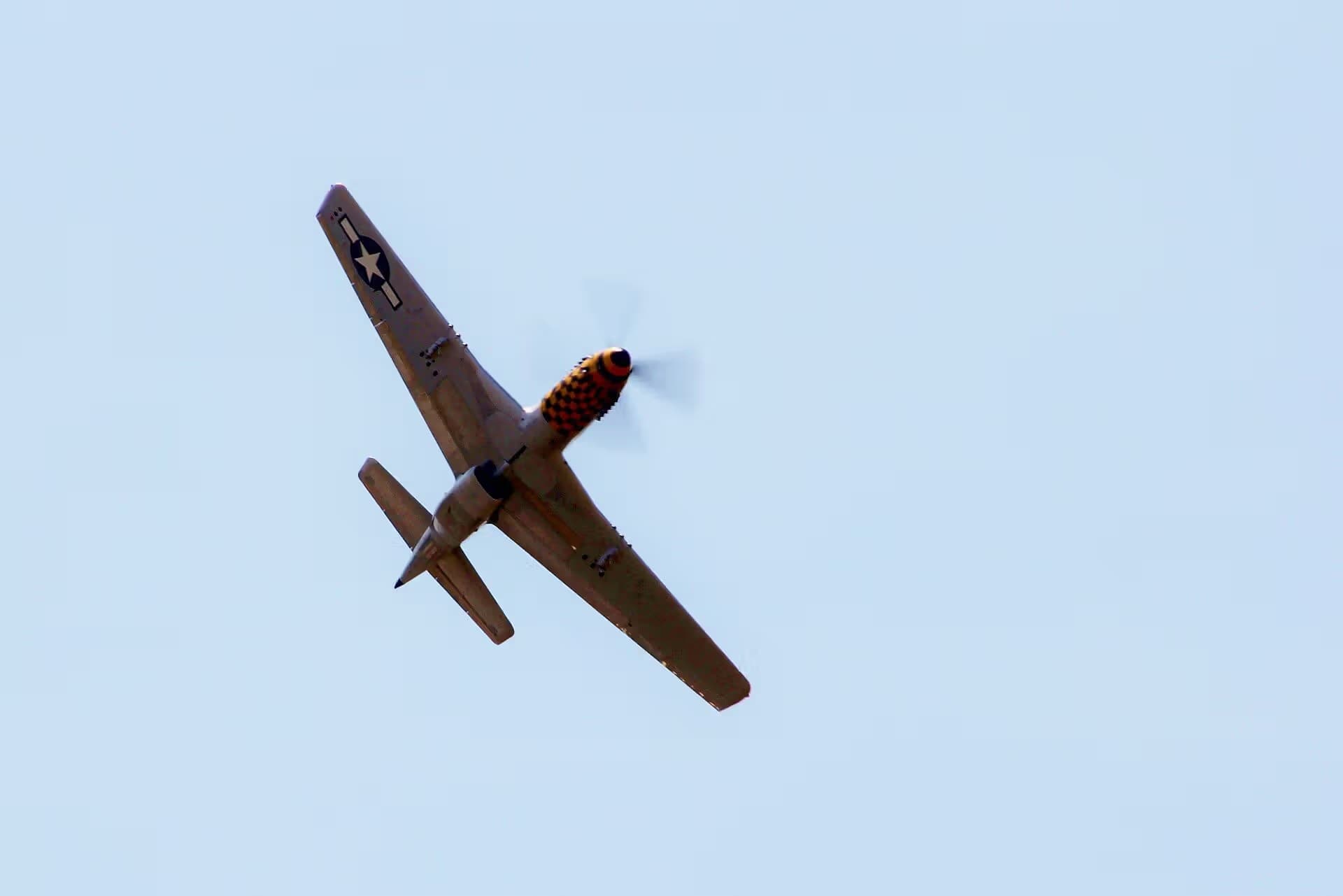 Unidentified — Warbird