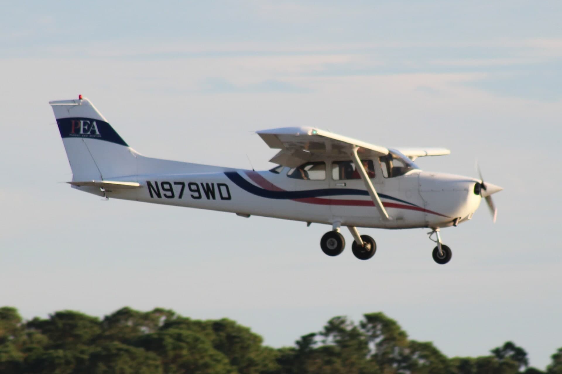 N979WD — Single-engine aircraft