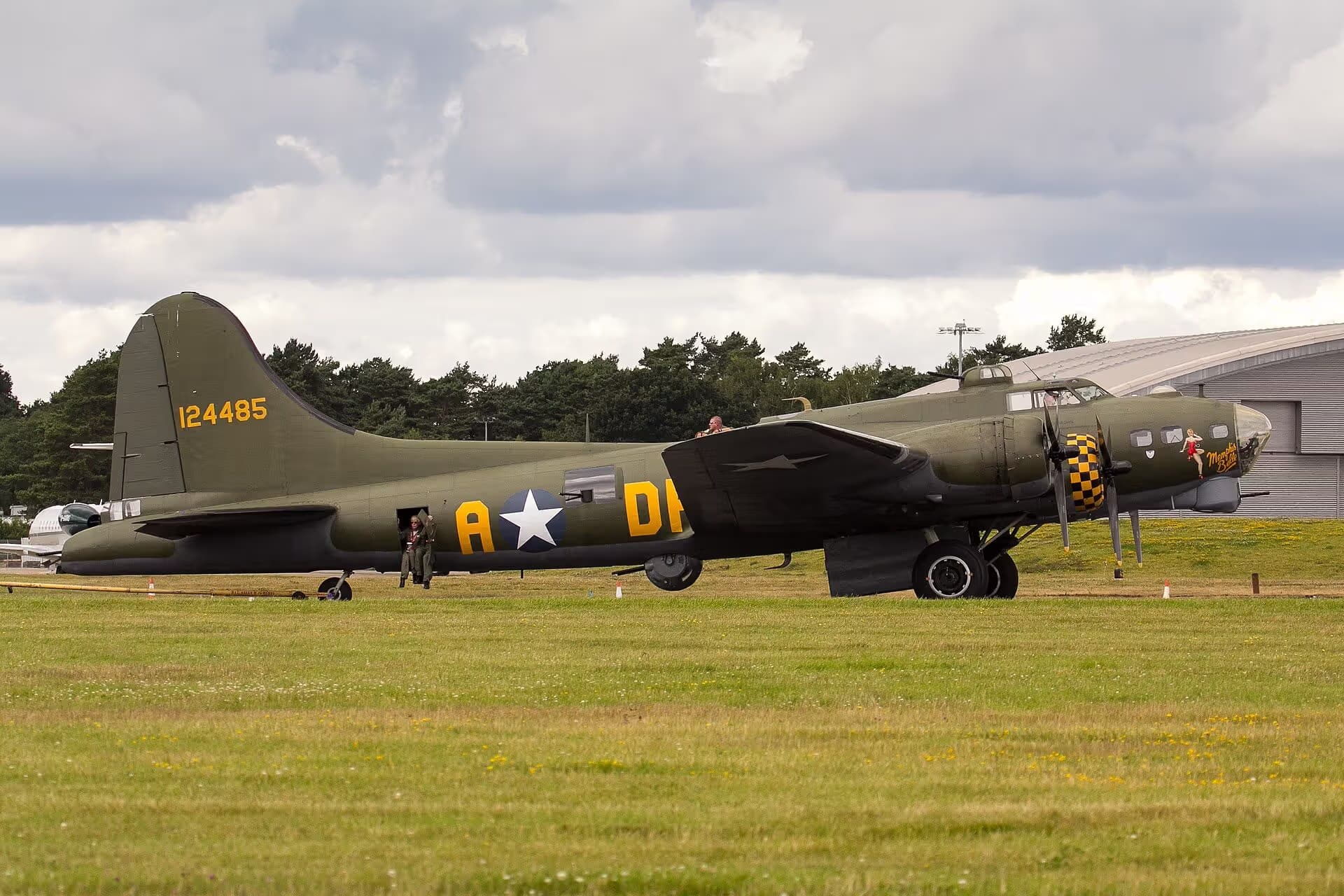 Unidentified — Warbird