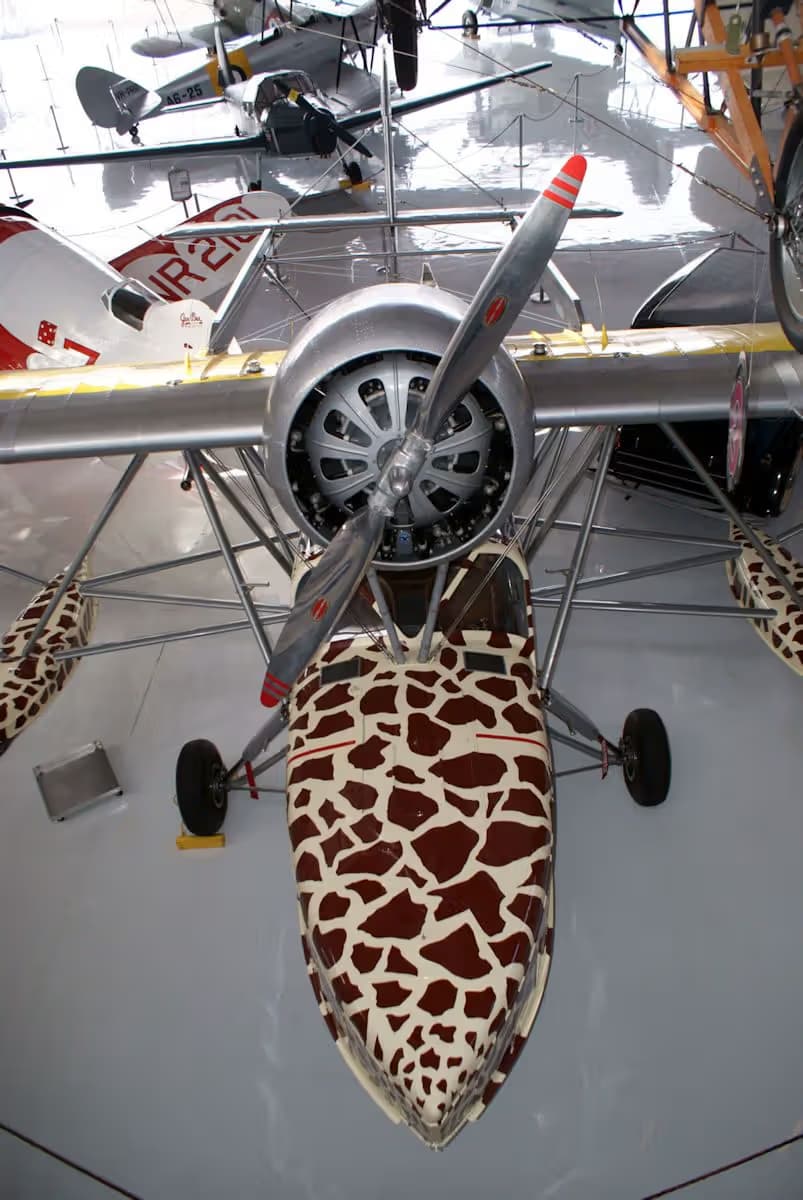 Unidentified — Single-engine aircraft