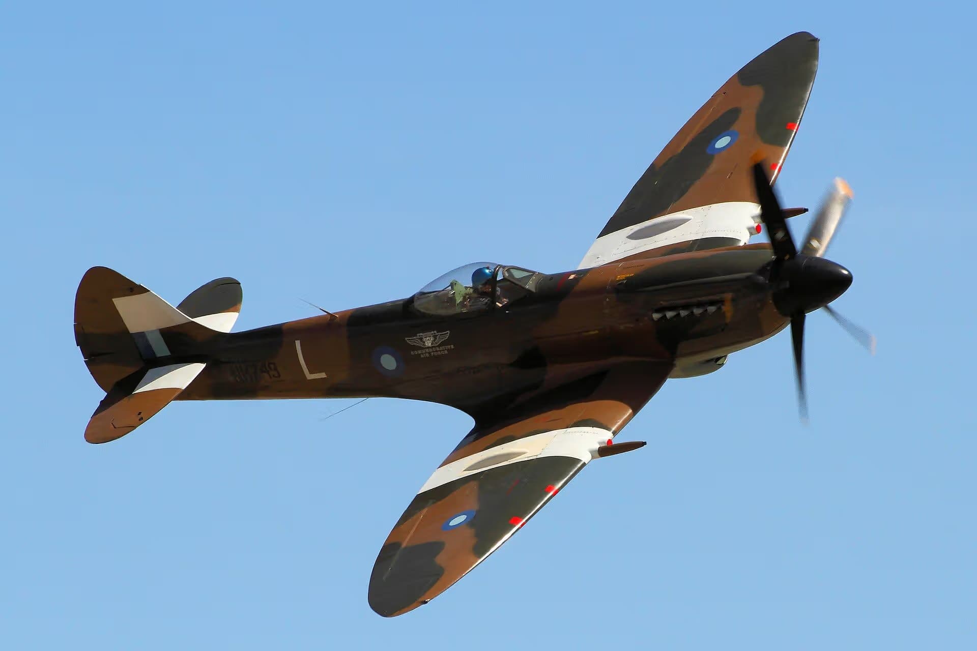 Unidentified — Warbird