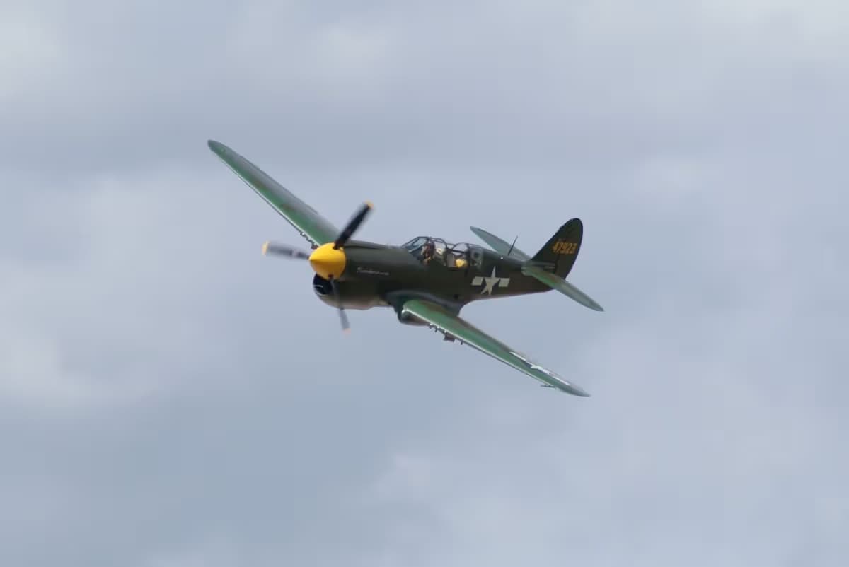 Unidentified — Warbird