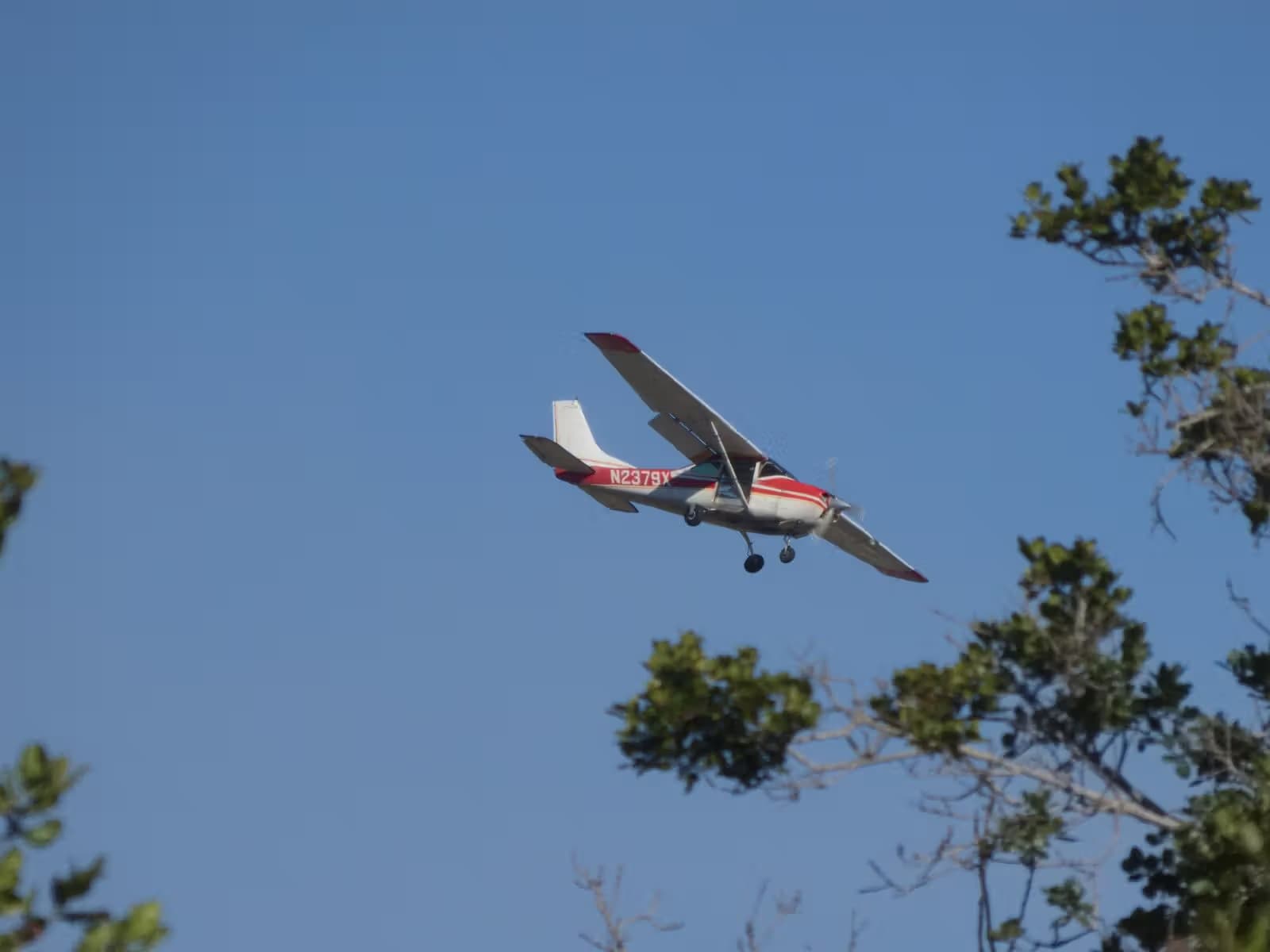 N2379X — Single-engine aircraft