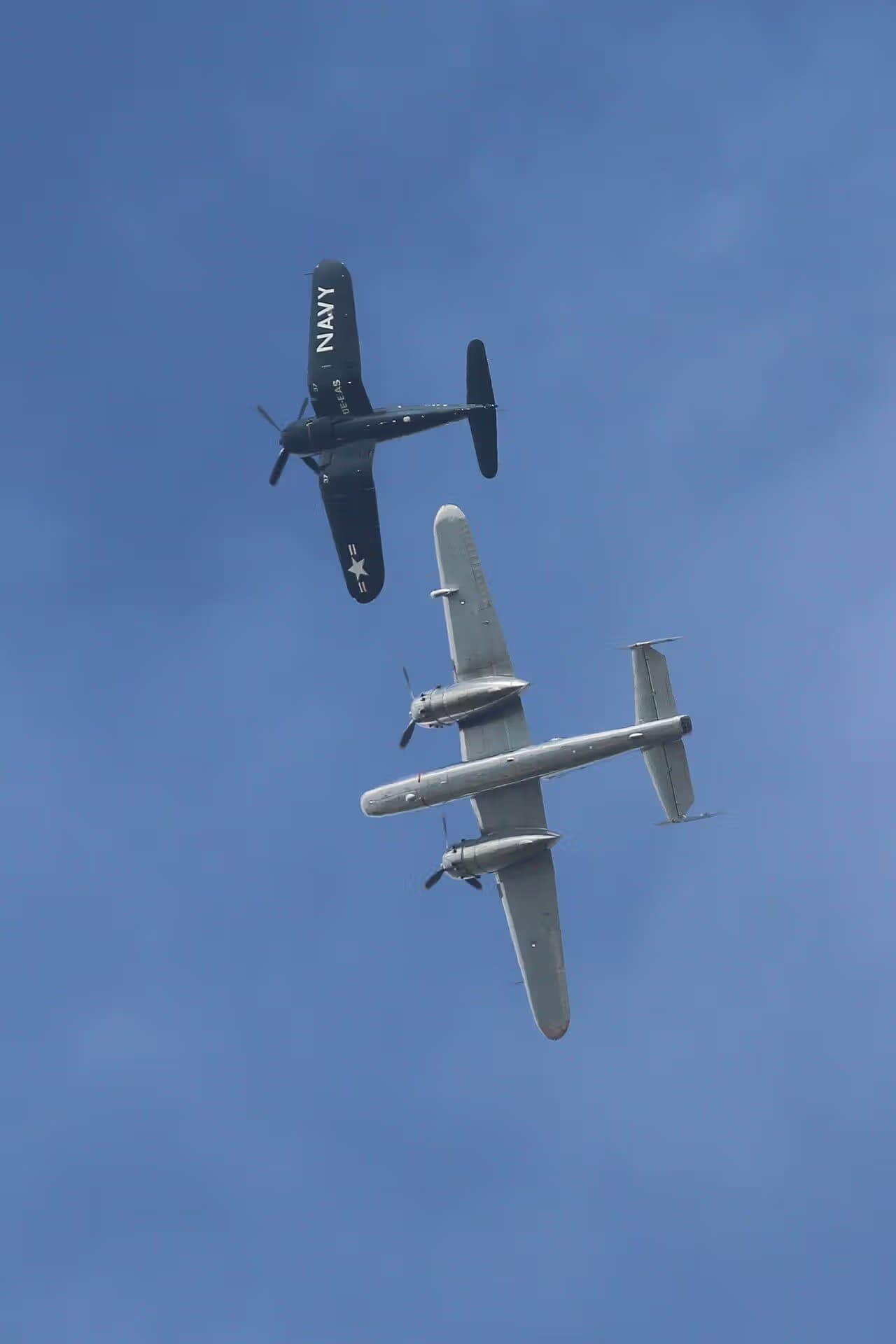 Unidentified — Warbird