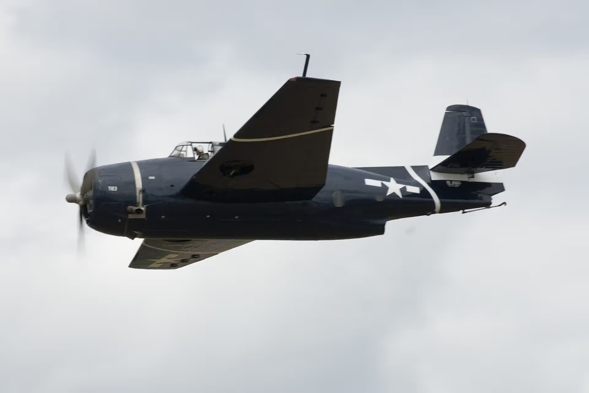 N81865 — Warbird