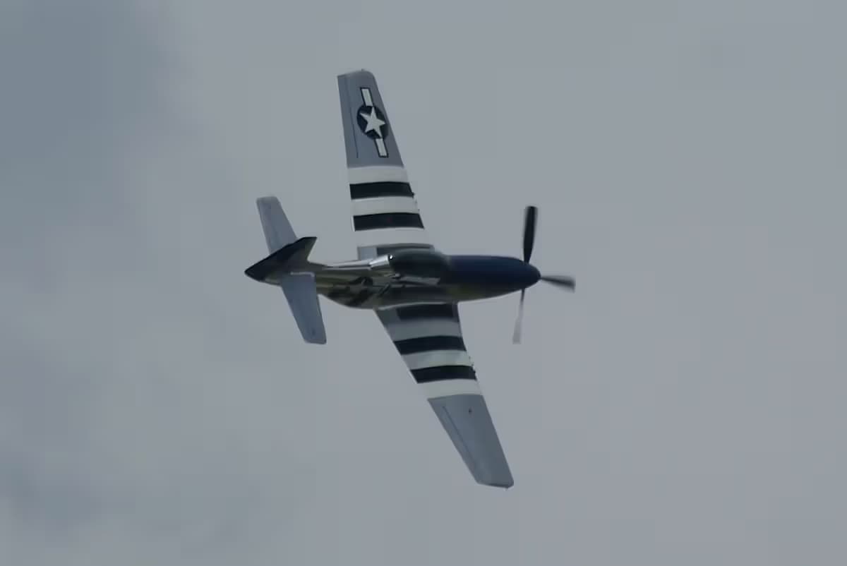Unidentified — Warbird