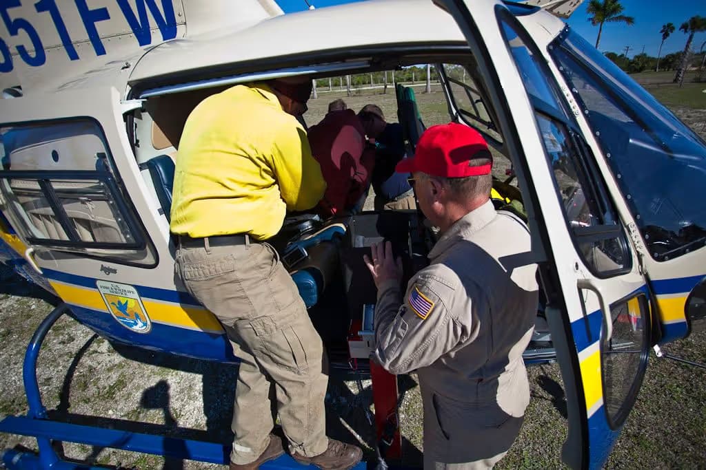 N351FW — Helicopter