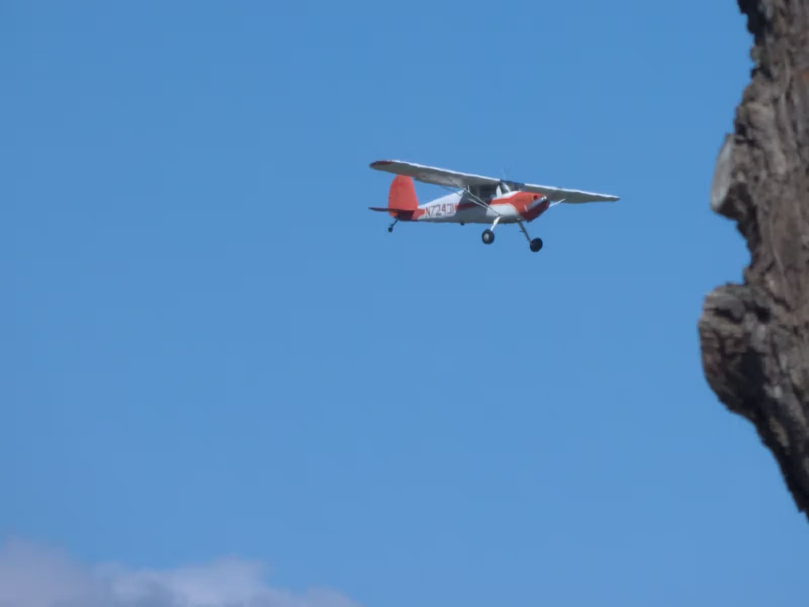 N72431 — Single-engine aircraft