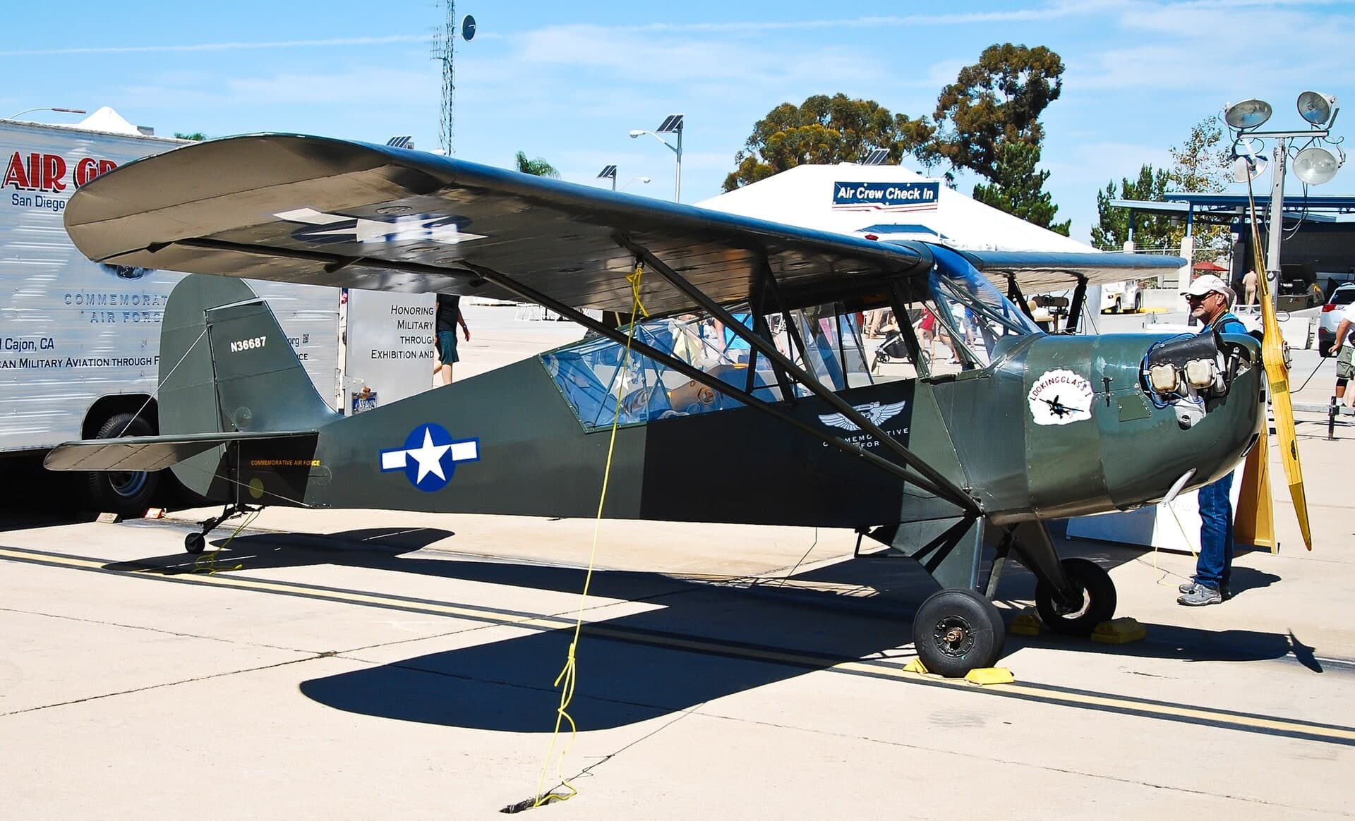 N36687 — Single-engine aircraft