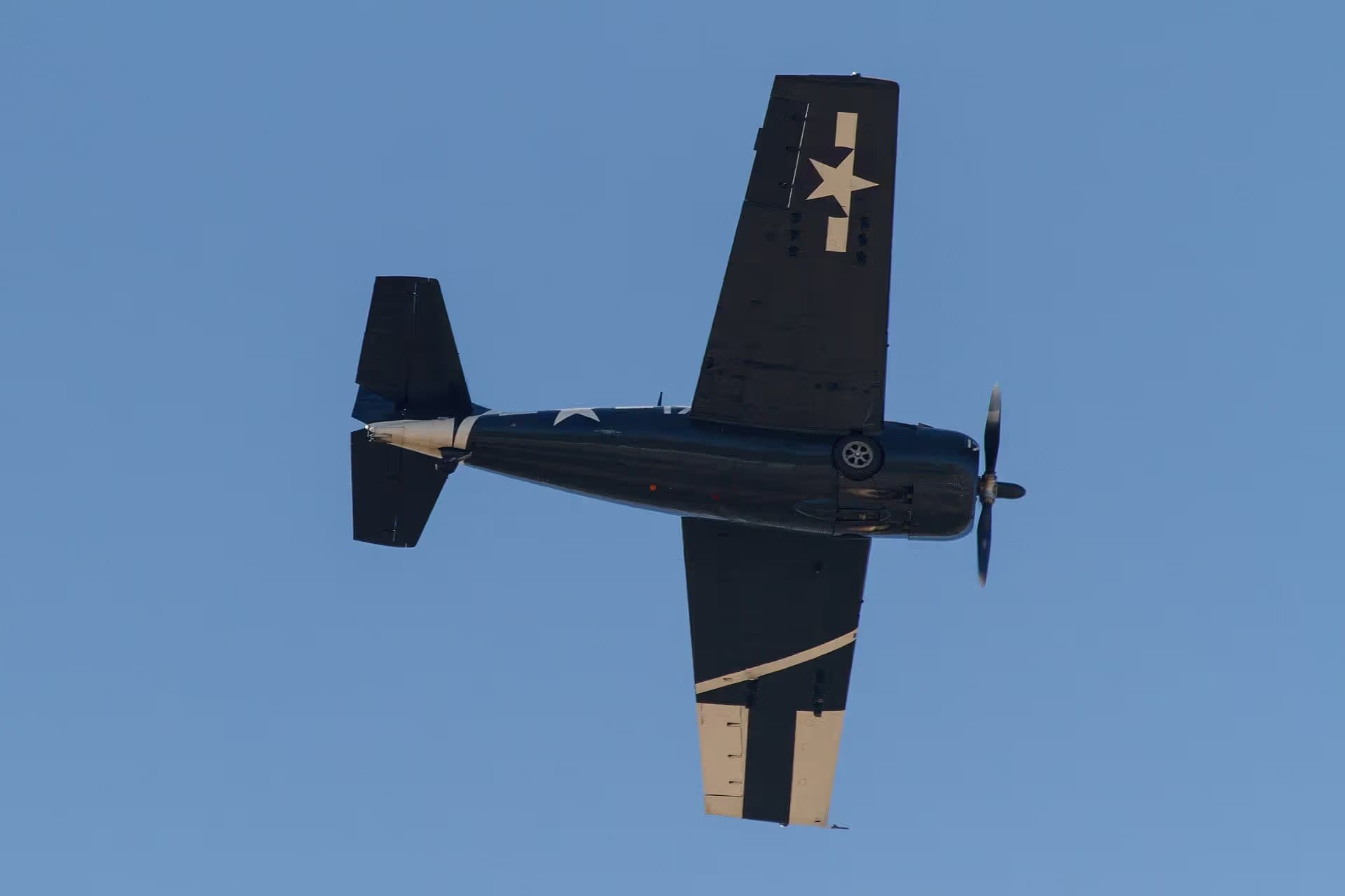 Unidentified — Warbird