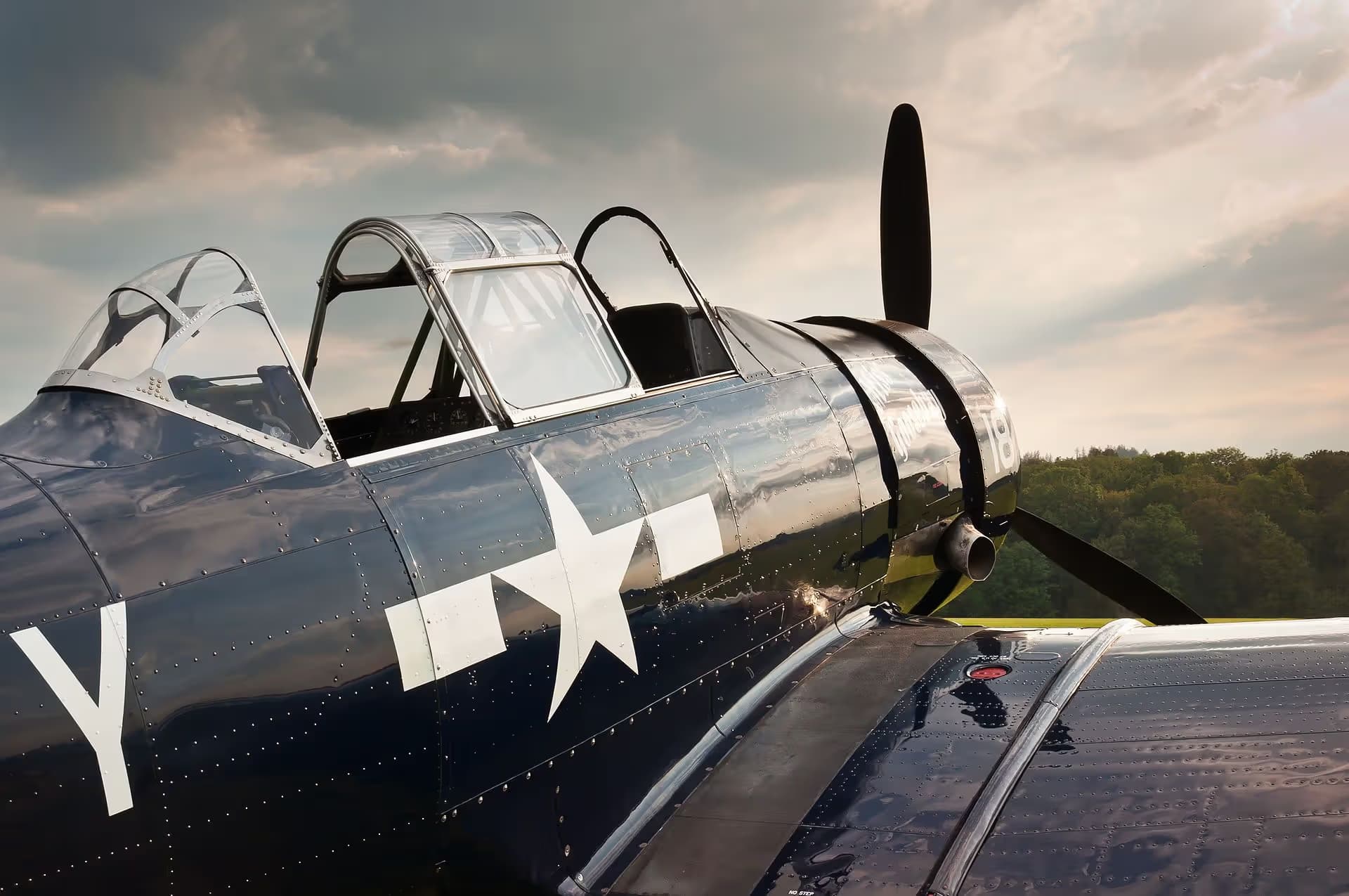 N6593D — Warbird